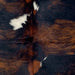 closeup of this XS Cowhide, showing a mix of black and brown, and three small, white spots  (XS586)