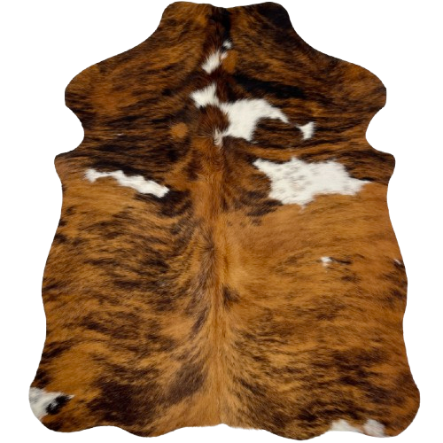 XS Tricolor Cowhide: has a brown and black, brindle pattern and large and small, white spots - 4'5" x 3'5" (XS591)