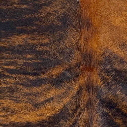 closeup of this XS Black and Reddish Brown Brindle Cowhide, showing reddish brown with black, brindle markings  (XS592)