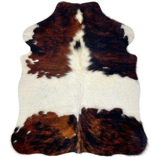 XS Tricolor Cowhide: has a reddish brown and black, brindle pattern, white across the middle and on the fore shanks, and white and off-white down part of the spine - 4'5" x 3'4" (XS593)