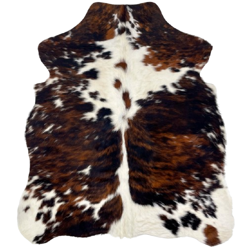 XS Tricolor Cowhide: has a reddish brown and black, brindle pattern with small and large, white spots - 4'5" x 3'3" (XS594)