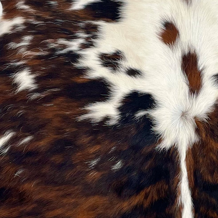 closeup of this XS Tricolor Cowhide, showing a reddish brown and black, brindle pattern with small and large, white spots (XS594)