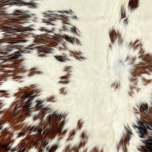Closeup of this XS Tricolor Cowhide, showing off-white with red brown and black spots (XS596)
