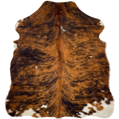 XS Reddish Brown and Black Brindle: has a reddish brown and black, brindle pattern, with a few small, white spots and off-white on part of the shanks - 4'5" x 3'5" (XS597)