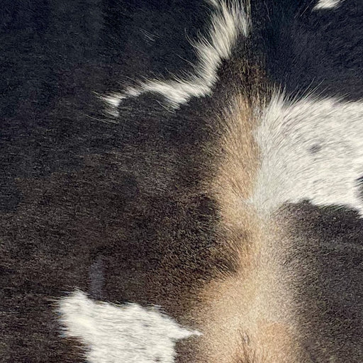 Closeup of this XS Cowhide, showing  black with white spots and light tan down the spine and mixed in with the black across the middle (XS599)