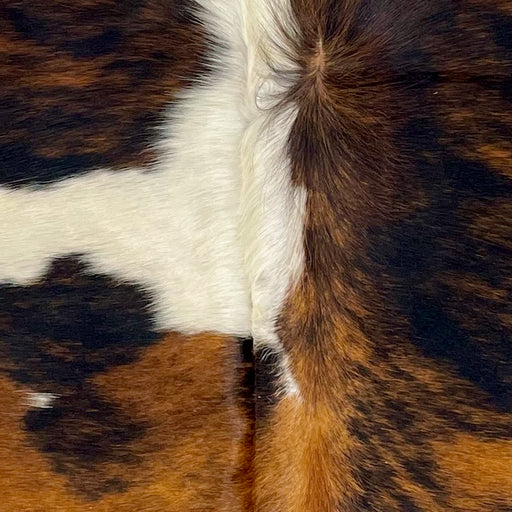 Closeup of this XS Tricolor Cowhide, showing a reddish brown and black, brindle pattern, and a few large, white spot (XS600)