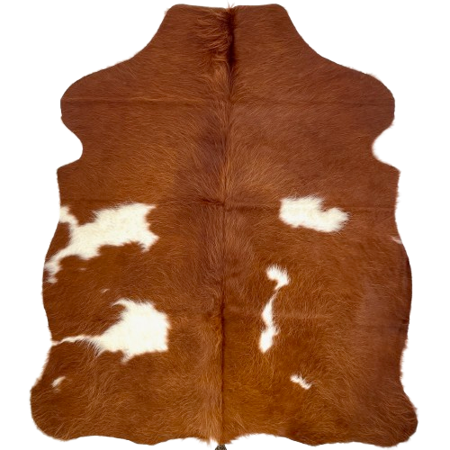 XS Reddish Brown and White Cowhide: has long hair that is reddish brown with white spots- 4'4" x 3'4" (XS601)