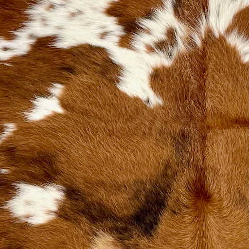 Closeup of this XS Cowhide, showing a mix of medium brown and dark brown, and white spots that have medium brown and dark brown speckles (XS603)