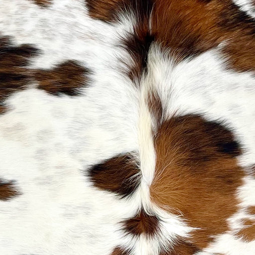 closeup of this XS Tricolor Cowhide, showing white with faint, brown and black speckles, and large and small spots that have a mix of brown and black (XS604)