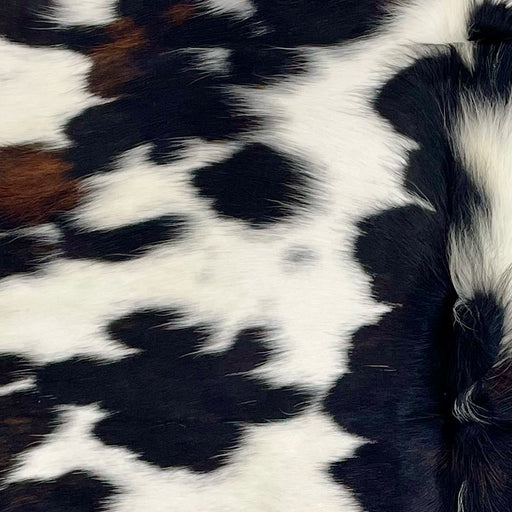 Closeup of this XS Cowhide, showing white with black spots, some having a splash of dark brown (XS605)