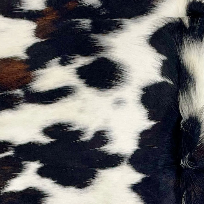 Closeup of this XS Cowhide, showing white with black spots, some having a splash of dark brown (XS605)