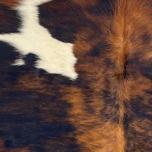 Closeup of this XS Tricolor Cowhide, showing a mix of black and reddish brown, and a few small and large, off-white spots  (XS606)