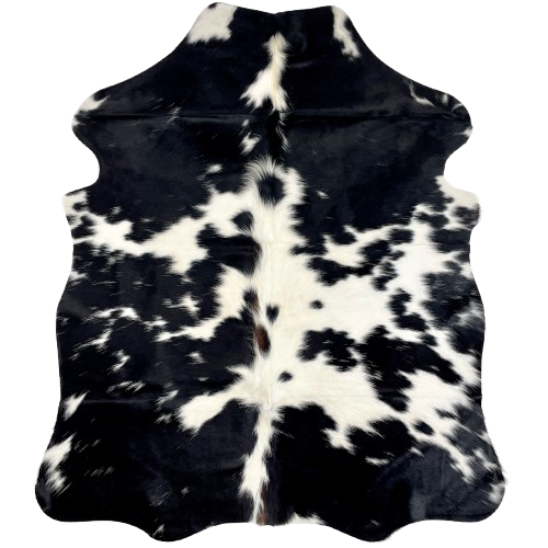 XS Black and White Cowhide: white with large and small, black spots, some having white speckles, and it has a touch of brown, and longer hair, on the spine - 4'6" x 3'5" (XS607)