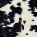 Closeup of this XS Cowhide, showing white with large and small, black spots, some having white speckles, and a touch of brown, and longer hair, on the spine - 4'6" x 3'5" (XS607)