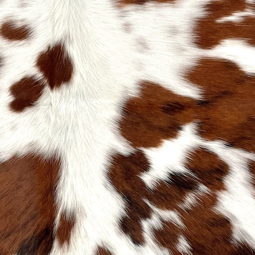 Closeup of this XS Tricolor Cowhide, showing white with some faint, brown spots, and large and small, brown spots, some with black, brindle markings  (XS608)