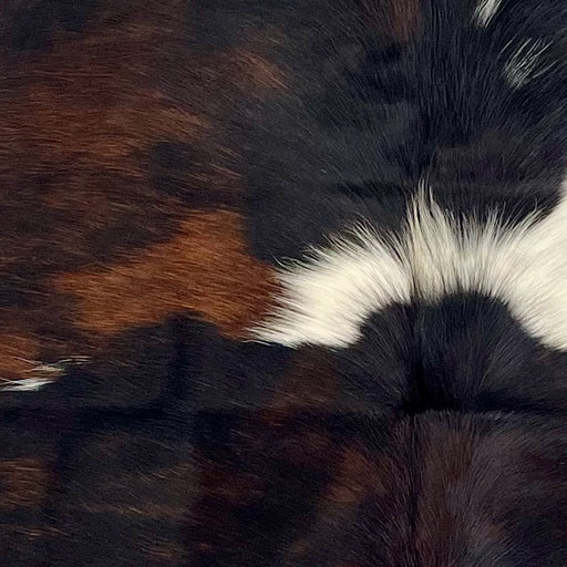 Closeup of this XS Tricolor Cowhide, showing a mix of black and reddish brown and three small and one large, white spot  (XS609)