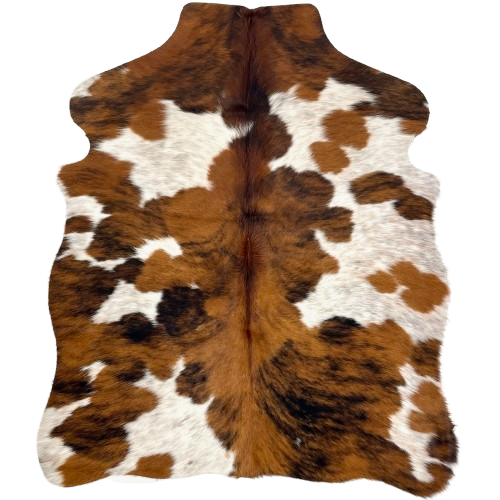 XS Tricolor Cowhide: white with brown and black speckles, and large and small spots that have a brown and black, brindle pattern - 4'4" x 3'5" (XS610)