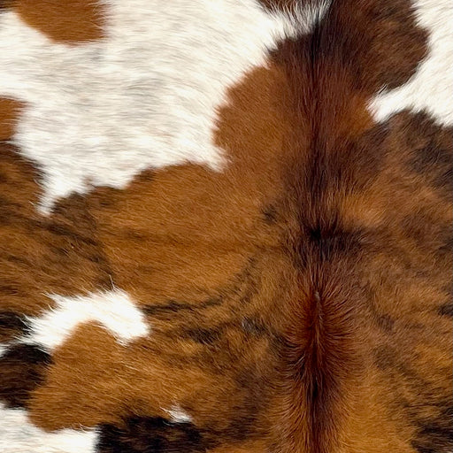 Closeup of this XS Tricolor Cowhide, showing white with brown and black speckles, and large and small spots that have a brown and black, brindle pattern  (XS610)