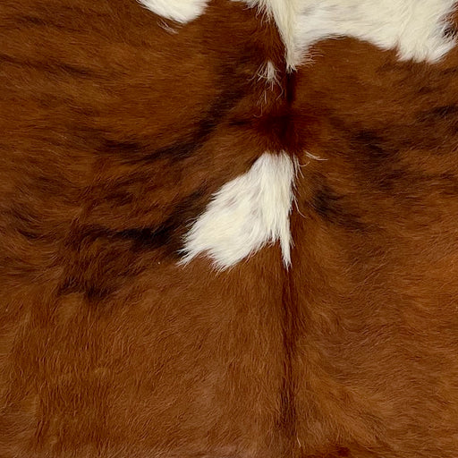 Closeup of this XS Tricolor Cowhide, showing brown with small and large, white spots, and a few black, brindle markings  (XS611)