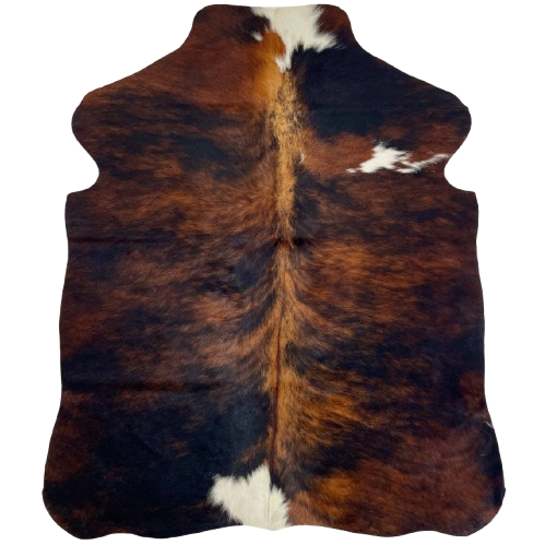 XS Tricolor Cowhide: has a black and reddish brown, brindle pattern, and three white spots - 4'4" x 3'4" (XS612)