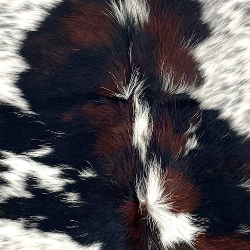 Closeup of this XS Tricolor Speckled Cowhide, showing white with black speckles, and large and small spots that have a mix of black and dark brown  (XS613)