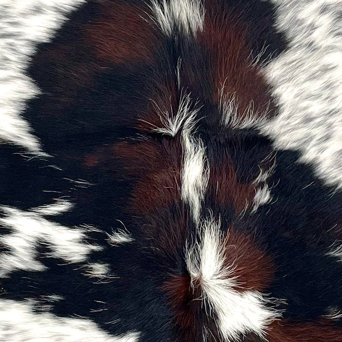 Closeup of this XS Tricolor Speckled Cowhide, showing white with black speckles, and large and small spots that have a mix of black and dark brown  (XS613)