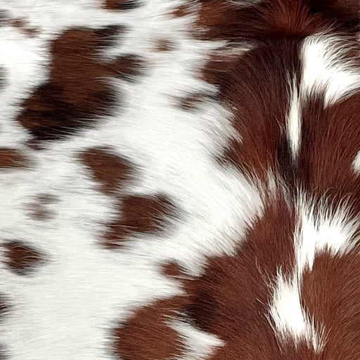 Closeup of this XS Tricolor Cowhide, showing white with brown and black spots  (XS614)