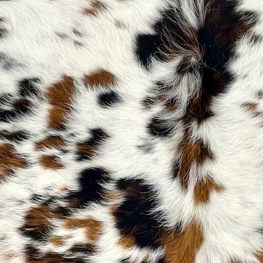 Closeup of this XS Tricolor Speckled Cowhide, showing ivory with black speckles and brown and black spots  (XS616)