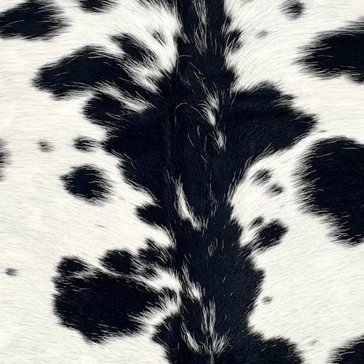 Closeup of this XS Cowhide, showing white with small and large, black spots  (XS617)