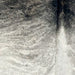 Closeup of this XS Brindle Cowhide, showing an ivory, gray, and black, brindle pattern (XS618)