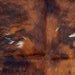 closeup of this XS Cowhide, showing long hair that is red brown and black with a few small, white spots (XS621)