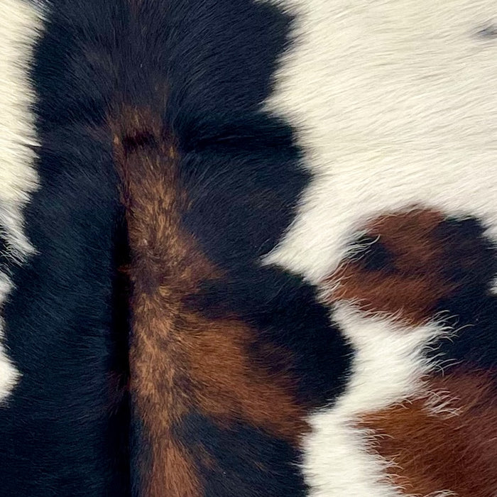 Closeup of this XS Tricolor Cowhide, showing off-white with black and brown spots (XS622)