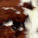 closeup of this XS Tricolor Cowhide, showing long hair with a reddish brown and black, brindle pattern, small white spots, and white down the middle (XS631)