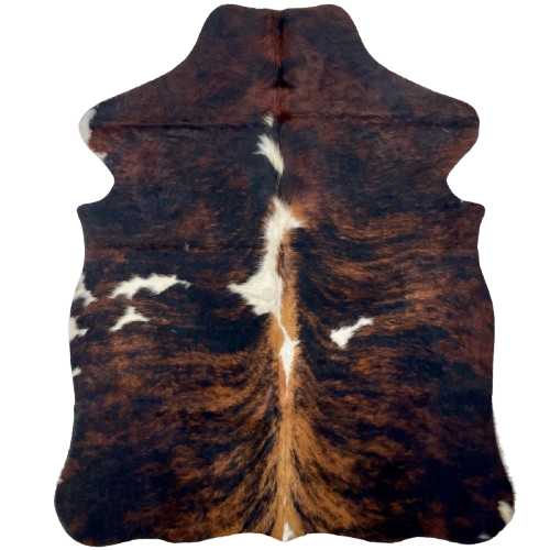 XS Tricolor Cowhide: has a brown and black, brindle pattern, a few small, white spots and white and brown down part of the spine - 4'4" x 3'4" (XS632)