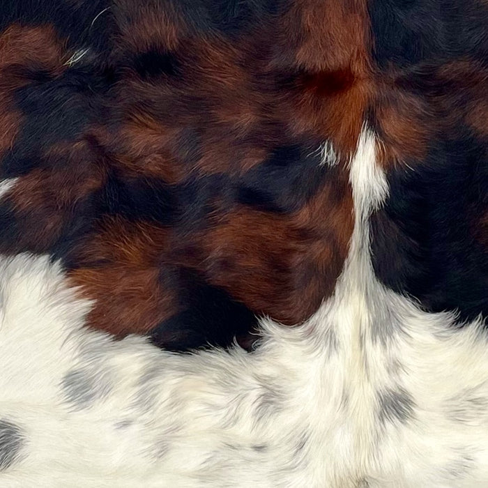 closeup of this XS Tricolor Speckled Cowhide, showing long hair that is white and off-white, with black speckles and large and small, black and reddish brown spots (XS633)
