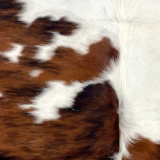closeup of this XS Tricolor Cowhide, showing white with large and small spots that have a brown and black, brindle pattern (XS634)