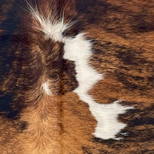 closeup of this XS Tricolor Cowhide, showing a brown and black, brindle pattern and a few white spots down the middle (XS638)