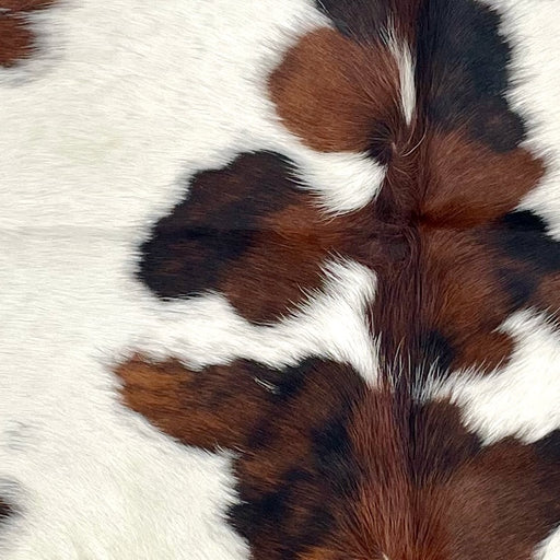 closeup of this XS Tricolor Cowhide, showing white and off-white with large and small spots that have a mix of brown and black (XS639)