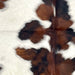 closeup of this XS Tricolor Cowhide, showing white and off-white with large and small spots that have a mix of brown and black (XS639)