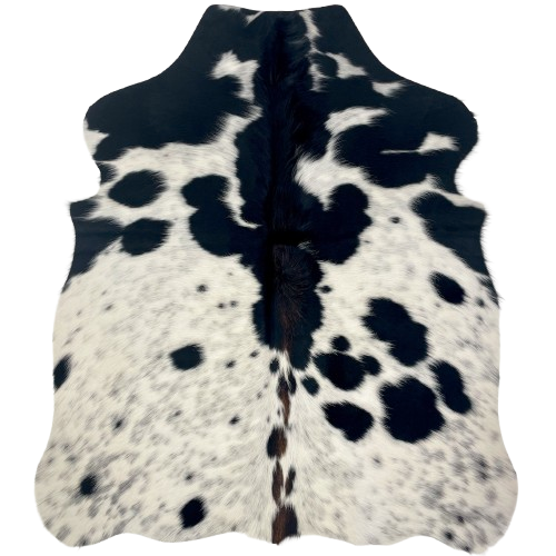 XS Black and Ivory Cloudy Speckled Cowhide: ivory with cloudy, black speckles, large and small, black spots, and brown down part of the spine - 4'4" x 3'4" (XS641)