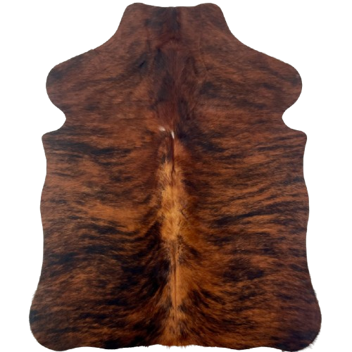 XS Reddish Brown and Black Brindle Cowhide: reddish brown with black, brindle markings, and light reddish brown down part of the spine - 4'4" x 3'4" (XS642)