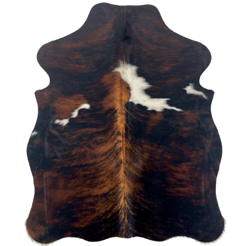 XS Tricolor Cowhide: has a black and reddish brown, brindle pattern, and one large and four small, white spots - 4'5" x 3'4" (XS644)