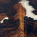 Closeup of this XS Tricolor Cowhide, showing a black and reddish brown, brindle pattern, and one large and one small, white spot (XS644)