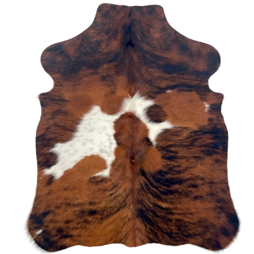 XS Tricolor Cowhide: has a reddish brown and black, brindle pattern, and two white spots in the middle, one having faint, brown and black speckles - 4'4" x 3'4" (XS648)