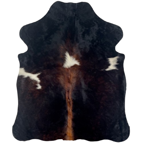 XS Dark Tricolor Cowhide: has a mix of black and red brown, with three white spots and red brown down the spine - 4'4" x 3'4" (XS650)