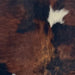 Closeup of this XS Brindle Cowhide, showing reddish brown and black, and one small, white spot (XS653)