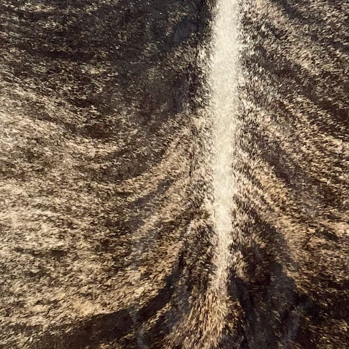 Closeup of this XS Brindle Cowhide, showing black, dark brown, and light tan with off-white down part of the spine (XS657)
