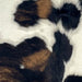 Closeup of this XS Tricolor Cowhide, showing a mix of black and brown, and white across the middle, with spots that are black and brown (XS658)