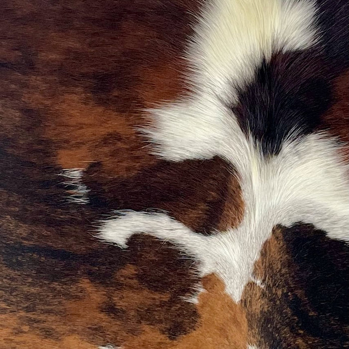 Closeup of this XS Tricolor Cowhide, showing a reddish brown and black, brindle pattern and white and off-white spots down the middle (XS660)