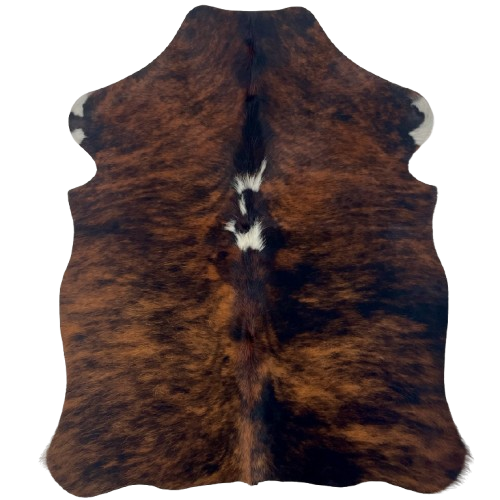 XS Red Brown and Black Brindle Cowhide: red brown and black, with a couple small, white spots, and longer hair, down the spine - 4'4" x 3'4" (XS661)